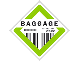 Коллекция Baggage